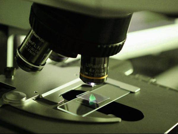 microscope-385364_1920